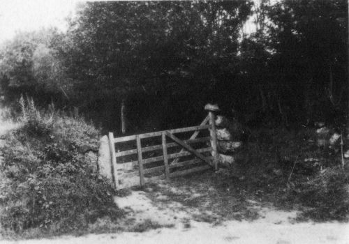 An image from the Dartmoor Trust Archive