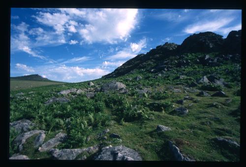 An image from the Dartmoor Trust Archive