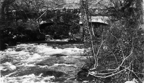 An image from the Dartmoor Trust Archive