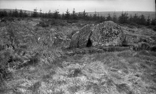 An image from the Dartmoor Trust Archive