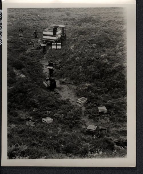 Monks on Dartmoor with bee hives