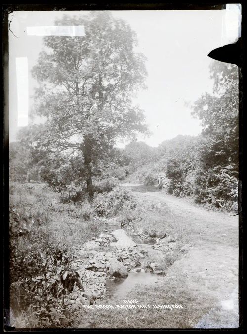 The Brook, Bagtor Mill, Ilsington