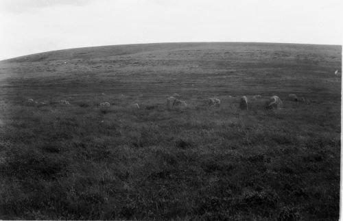 An image from the Dartmoor Trust Archive