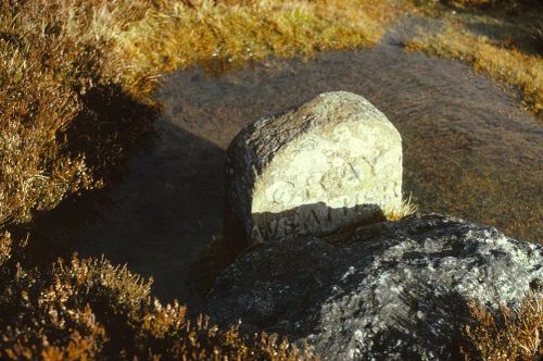 An image from the Dartmoor Trust Archive