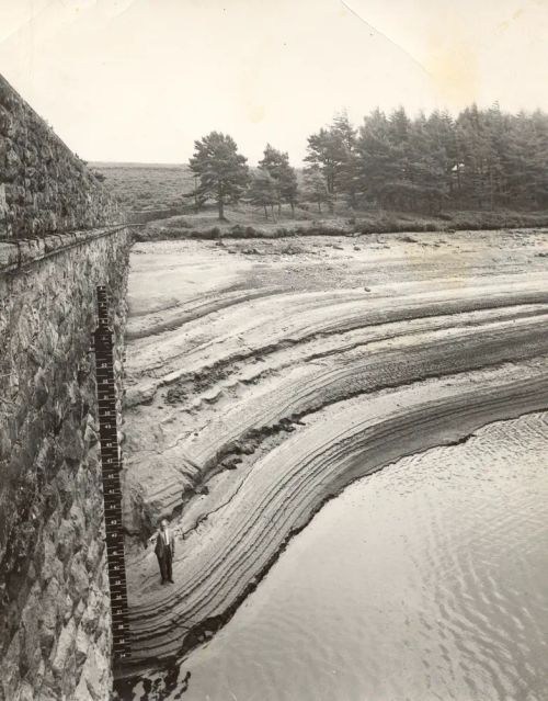 The effects of the 1975 drought at Venford reservoir