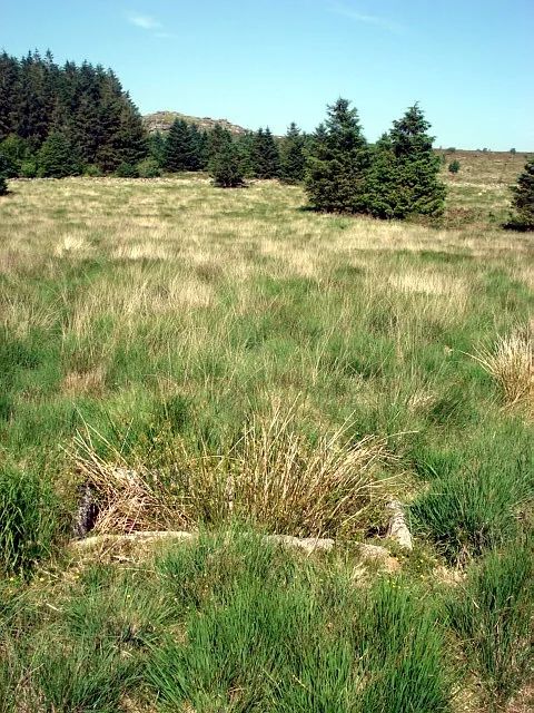 An image from the Dartmoor Trust Archive