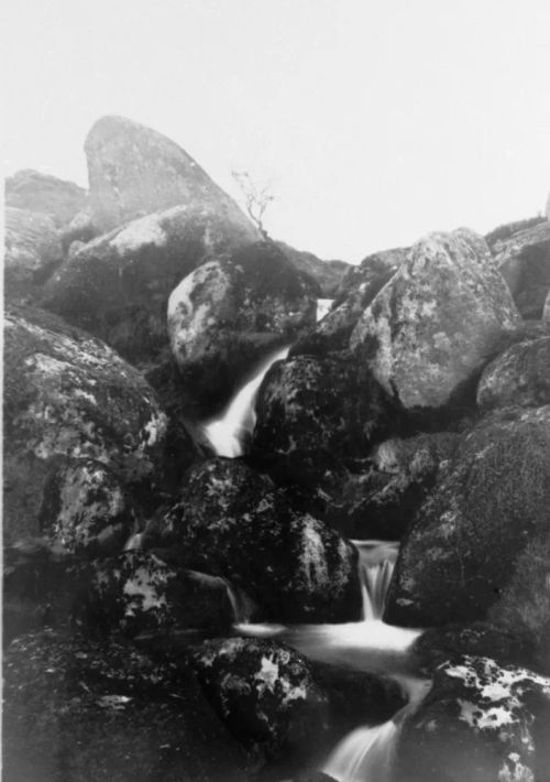 An image from the Dartmoor Trust Archive