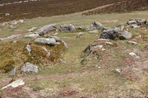 An image from the Dartmoor Trust Archive