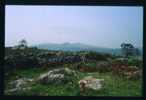 An image from the Dartmoor Trust Archive