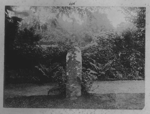 Inscribed Ogham Stone