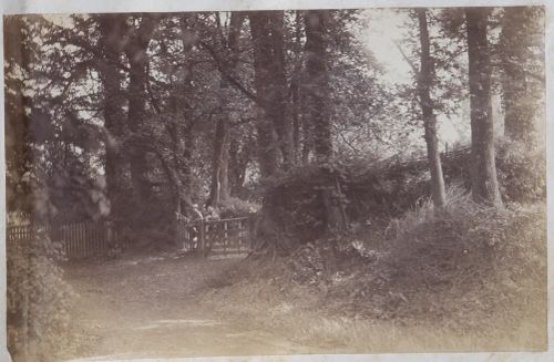 An image from the Dartmoor Trust Archive