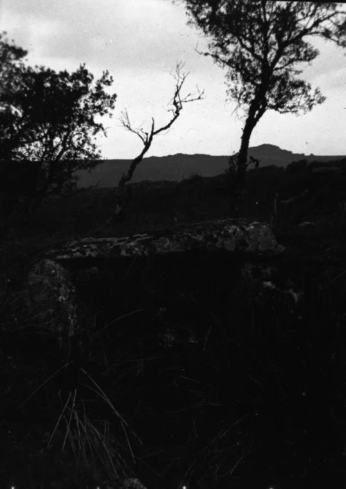 An image from the Dartmoor Trust Archive