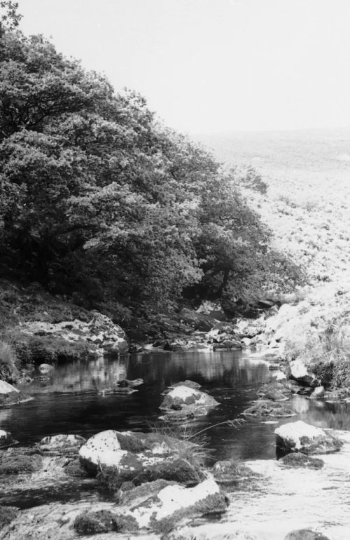 An image from the Dartmoor Trust Archive