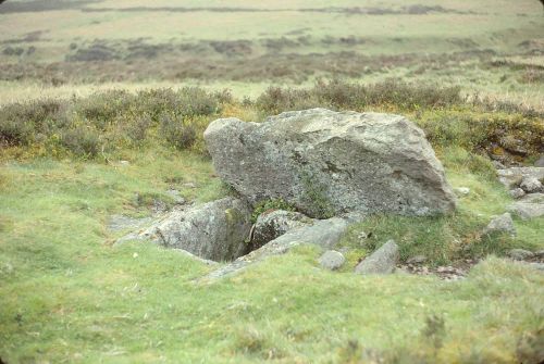 An image from the Dartmoor Trust Archive