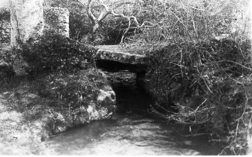 An image from the Dartmoor Trust Archive