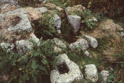 An image from the Dartmoor Trust Archive