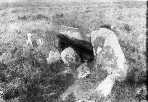 An image from the Dartmoor Trust Archive