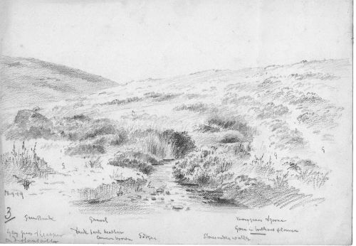 Jones 179 Moorland stream.tif