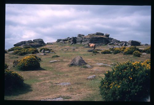 An image from the Dartmoor Trust Archive