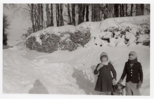 An image from the Dartmoor Trust Archive