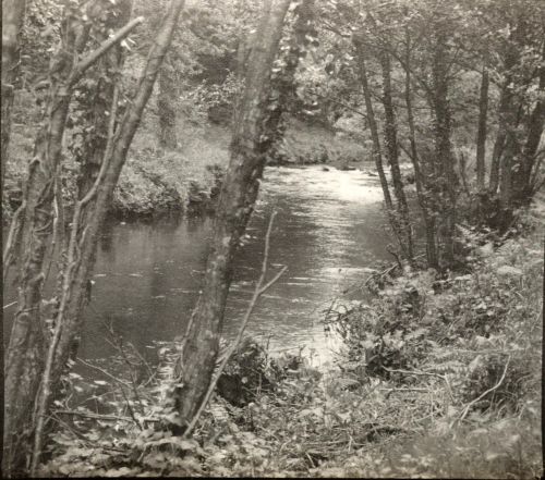 Dartmoor river