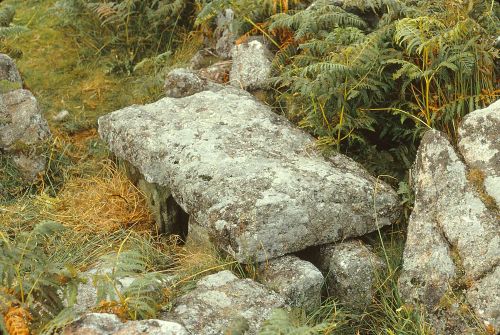 An image from the Dartmoor Trust Archive