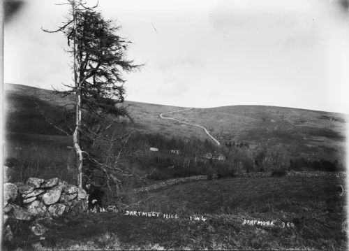 Dartmeet Hill