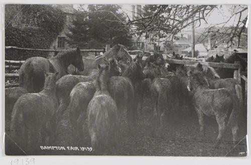 Bampton fair