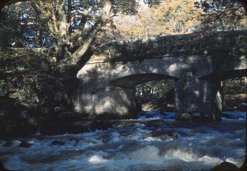 Shaugh Bridge