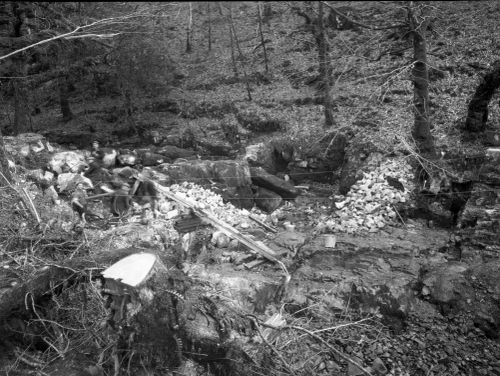 An image from the Dartmoor Trust Archive