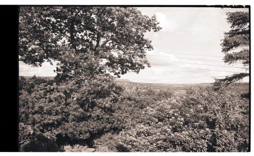 Taylor family house in Buckland Monachorum