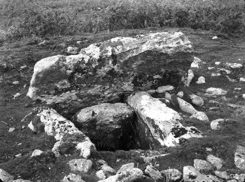 An image from the Dartmoor Trust Archive