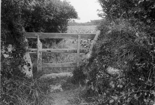 An image from the Dartmoor Trust Archive