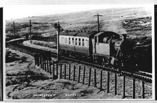 The Princetown Express Train