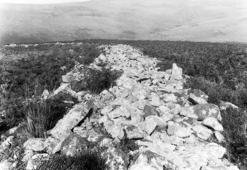 An image from the Dartmoor Trust Archive