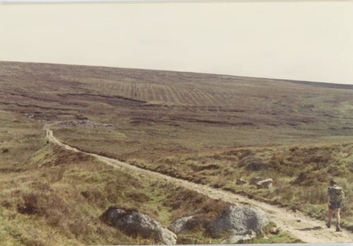 An image from the Dartmoor Trust Archive