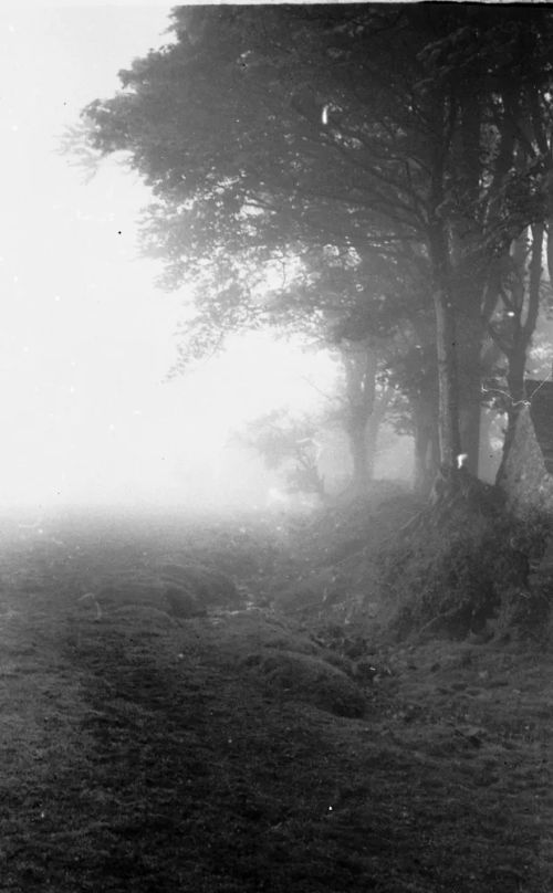 An image from the Dartmoor Trust Archive