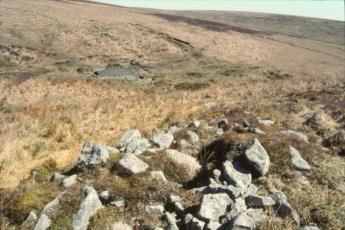 An image from the Dartmoor Trust Archive