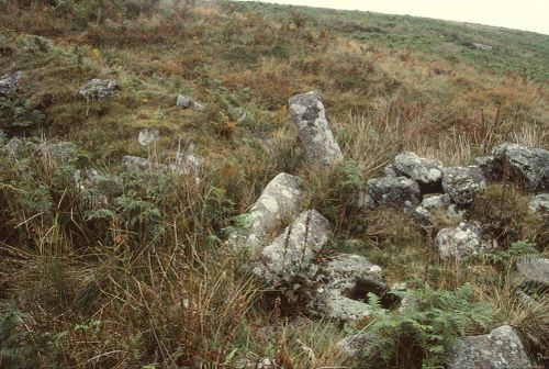 An image from the Dartmoor Trust Archive