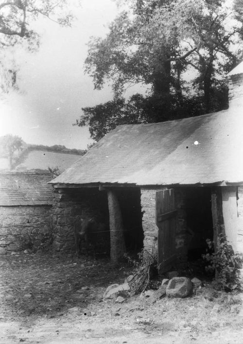 An image from the Dartmoor Trust Archive