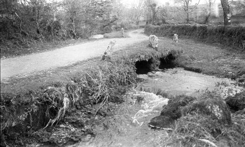 An image from the Dartmoor Trust Archive