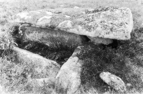 An image from the Dartmoor Trust Archive