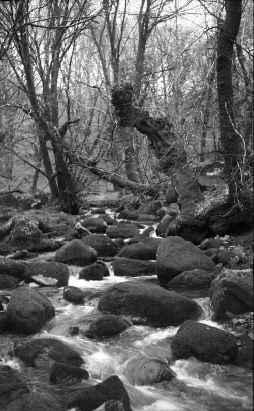 An image from the Dartmoor Trust Archive