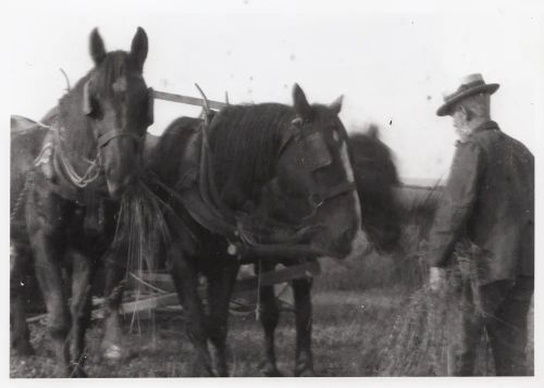 An image from the Dartmoor Trust Archive