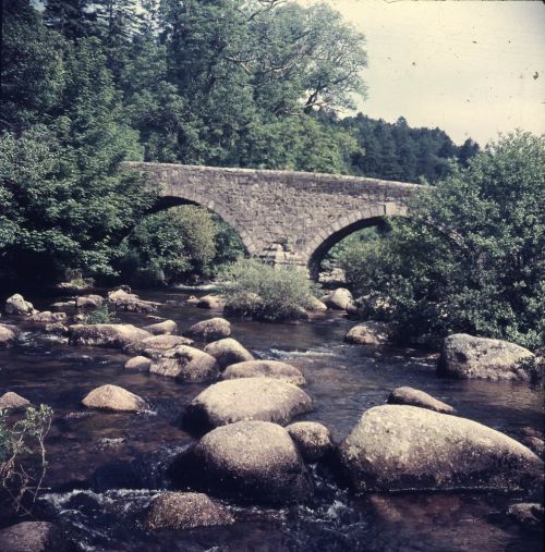 An image from the Dartmoor Trust Archive