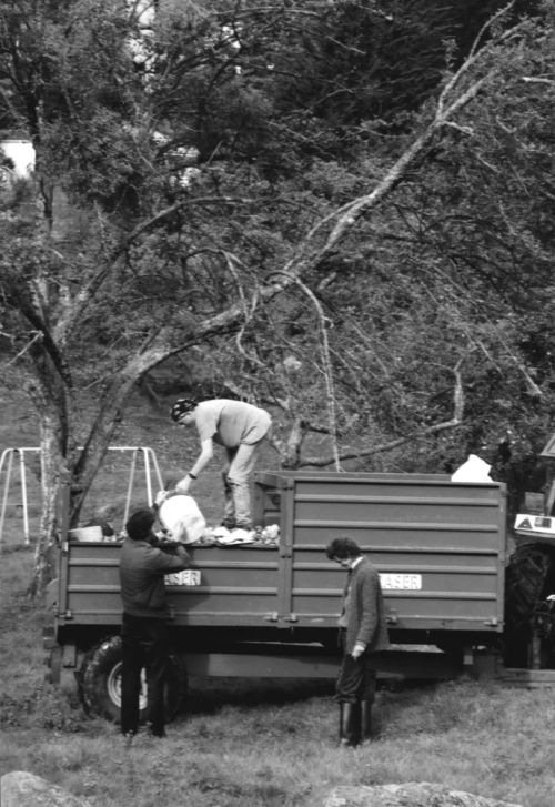 Unloading apples into the trailer on Lustleigh Apple Day