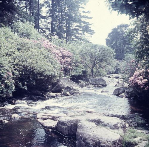 An image from the Dartmoor Trust Archive