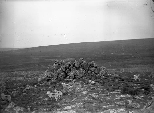 An image from the Dartmoor Trust Archive