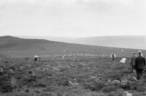 An image from the Dartmoor Trust Archive