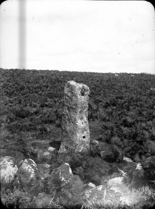 An image from the Dartmoor Trust Archive